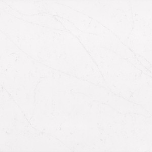 7119-Calacatta venatino 