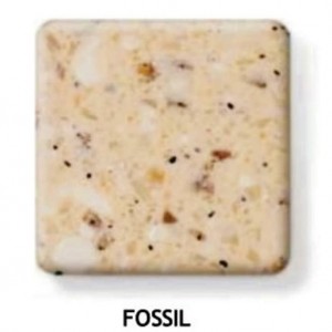 FOSSIL