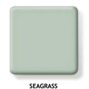 SEAGRASS