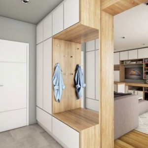 Vestiyer - Ayakkabilik - 80 