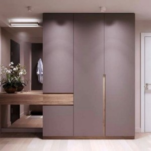 Vestiyer - Ayakkabilik - 36 