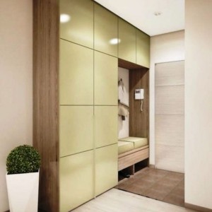 Vestiyer - Ayakkabilik - 30 