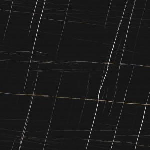 Sahara Noir 