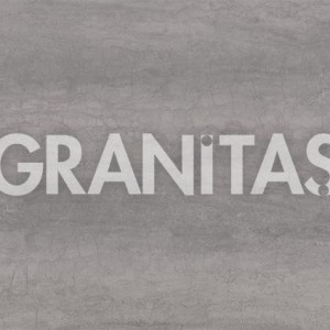 Pietra-Di-Savoia-Grigia-Cocciardata